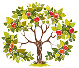 Psychoth&eacute;rapie et psychog&eacute;n&eacute;alogie