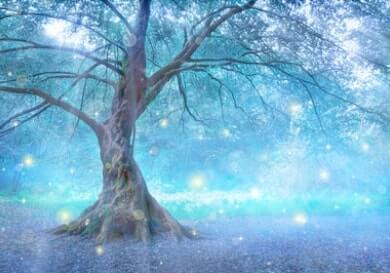 psychoth&eacute;rapie aix les bains de l'enfant